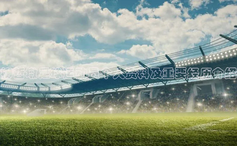 意昂体育4登录江铃新能源