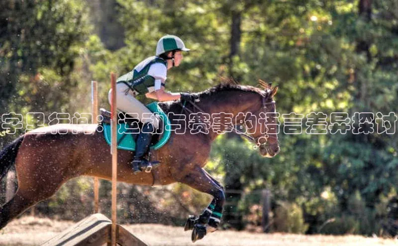 意昂体育平台APP